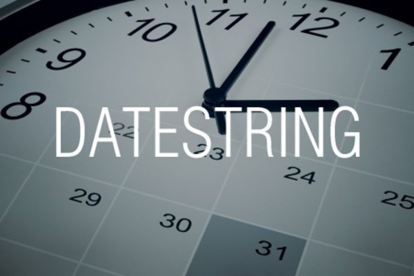 DATESTRING関数で日付を和暦に変換する