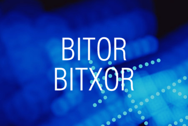 BITOR関数/BITXOR関数でビットごとの論理和や排他的論理和を求める