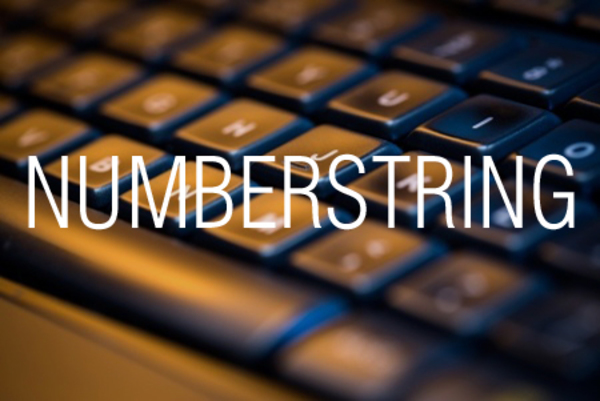 NUMBERSTRING関数で数値を漢数字の文字列に変換する