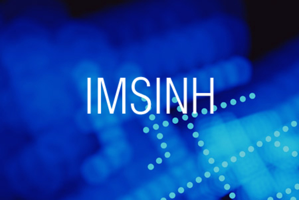 IMSINH関数で複素数の双曲線正弦を求める