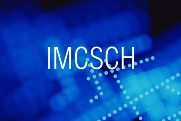 IMCSCH関数で複素数の双曲線余割を求める