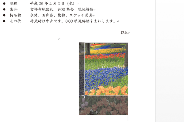 Wordで写真の一部分だけを抜き出して表示する方法