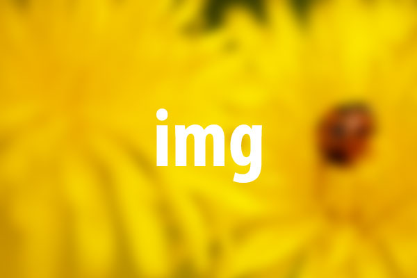 imgタグの意味と使い方