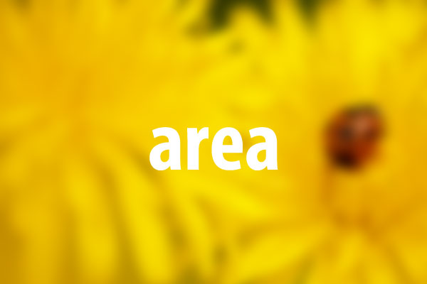 areaタグの意味と使い方