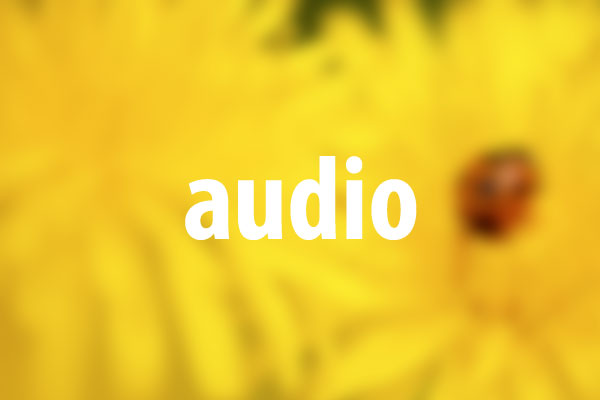 audioタグの意味と使い方