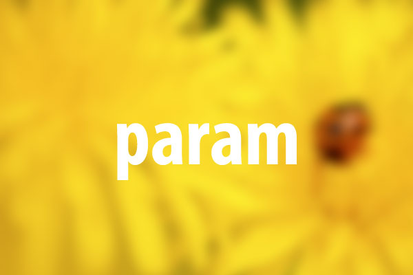 paramタグの意味と使い方