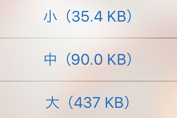 iPhoneでメールに添付する写真を縮小する方法