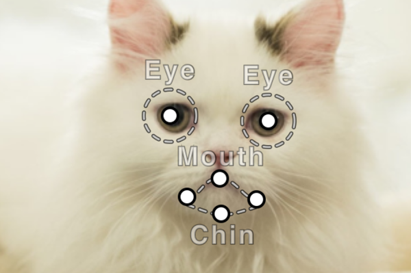 愛するペットがしゃべりだす!? 動画作成アプリ「おしゃべりペット」