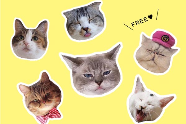 【ニュースリリース】7,000枚から選ばれた31枚の猫写真が電子書籍に! 「31cats ニャンとも愛しい毎日」が電子書籍ストアにて無料配信