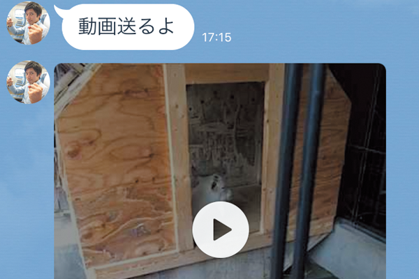 LINEのSnap Movieで動画を撮影して送る方法