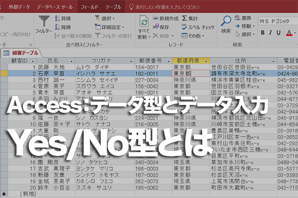 AccessのテーブルでのYes/No型の使い方