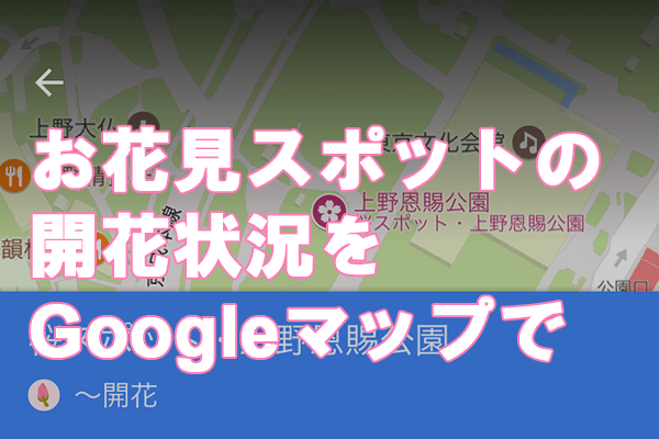 iPhoneアプリで開花状況もわかる! 「Googleマップ」お花見情報の使い方