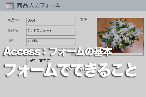 Accessのフォームでできること