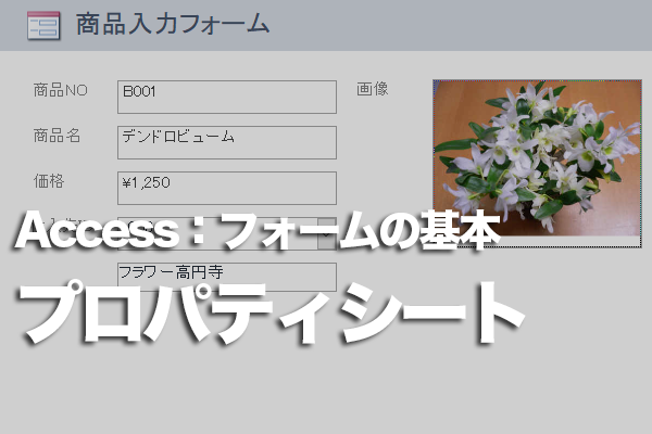 Accessのフォームやコントロールの設定方法