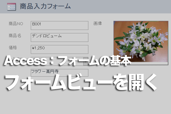 Accessのフォームビューを開けない時の対処法