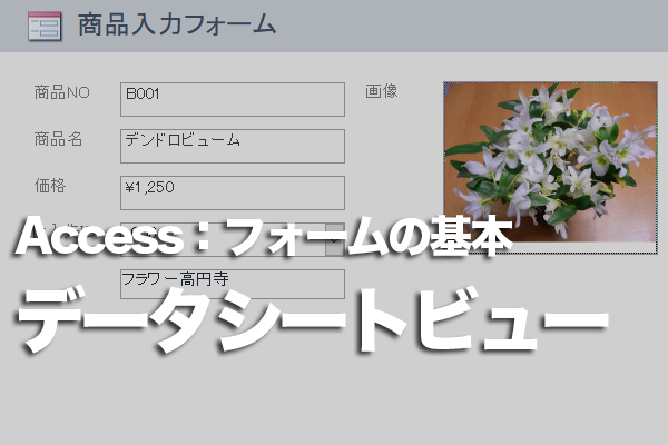 Accessのフォームでデータシートビューを利用する方法