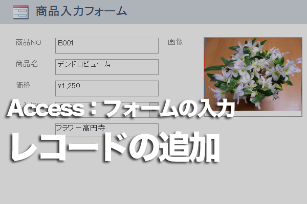 Accessのフォームで新しくレコードを追加する方法