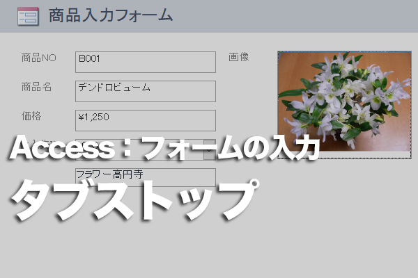 Accessのフォームでデータ入力しない場所にカーソルが移動しないようにする方法