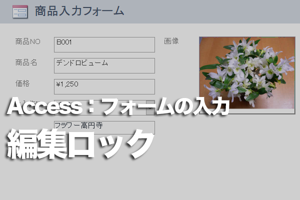 Accessのフォームで特定のフィールドのデータを変更できなくする方法