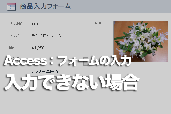 Accessのフォームのテキストボックスにデータを入力できない場合の対処方法