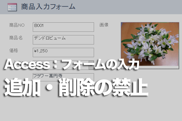 Accessのフォームからのレコードの追加と削除を禁止する方法