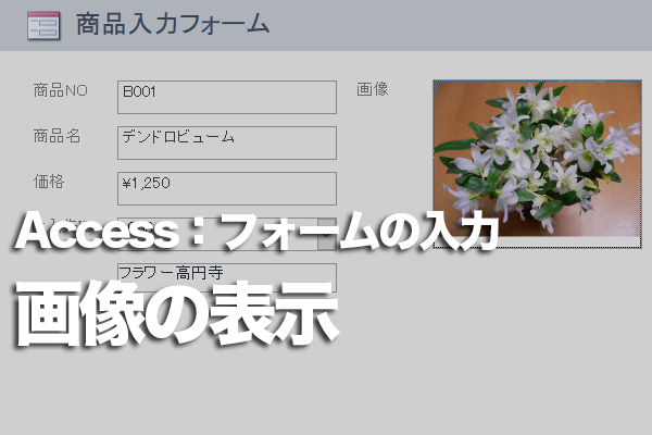 Accessのフォームで画像を枠内に表示するには