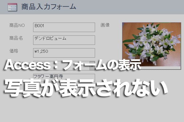 Accessのフォームに写真を表示する方法