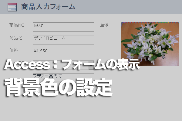 Accessのフォームの1行おきの色を解除する方法