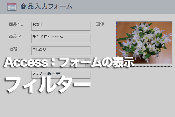 Accessのフォームで特定のレコードだけ表示する方法