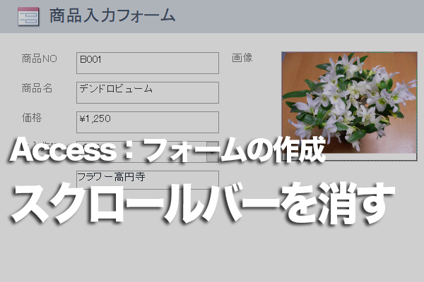 Accessのフォームのテキストボックスでスクロールバーを非表示にする方法