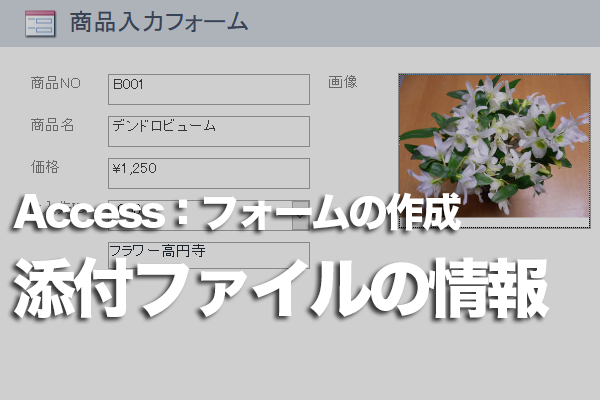 Accessのフォームの添付ファイル型のフィールドで表示されるFileData、FileName、FileTypeとは