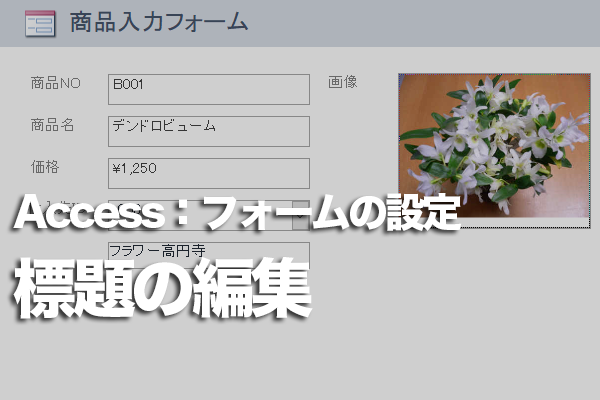 Accessのフォームでタブやタイトルバーに表示される文字列を変更する方法