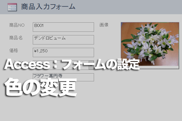Accessのフォームの色を変える方法