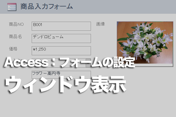 Accessのフォームをウィンドウで表示するには