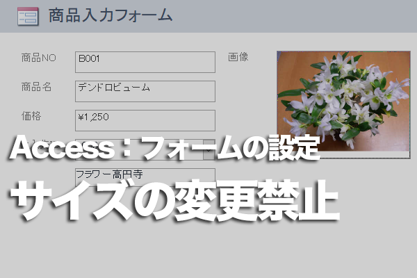Accessのフォームのサイズ変更できないようにする方法