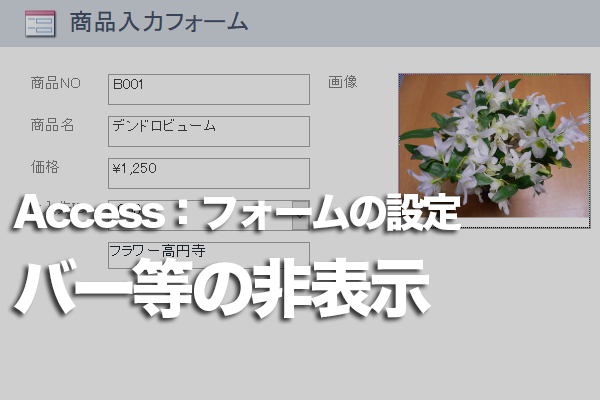 Accessのフォームでレコードセレクター、移動ボタン、スクロールバーを非表示にする方法