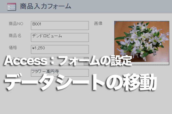 Accessの分割フォームのデータシートの位置を変える方法