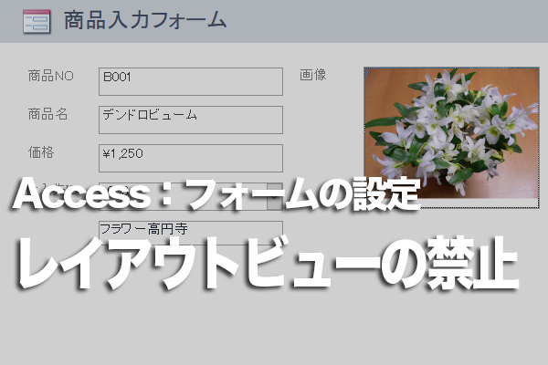 Accessの特定のフォームでレイアウトビューを非表示にする方法