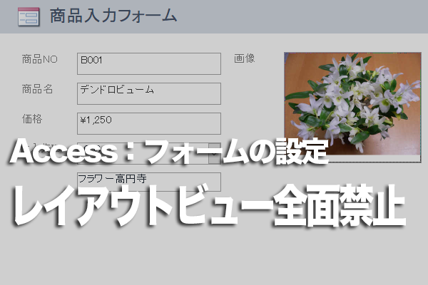 Accessのすべてのフォームでレイアウトビューを非表示にする方法
