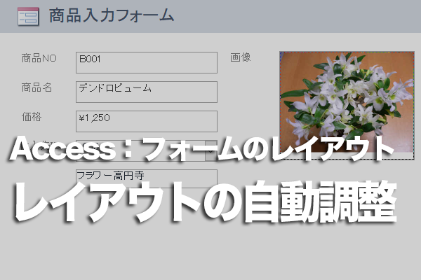 Accessのフォームのコントロールのレイアウトを自動調整する方法