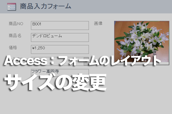 Accessのフォームのデザインビューでコントロールのサイズを変更する方法