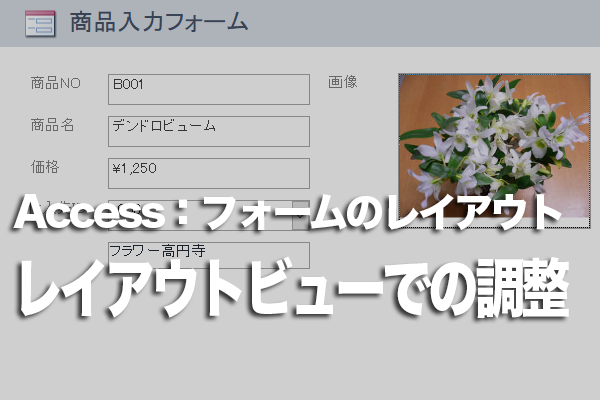 Accessのフォームのレイアウトビューでコントロールのサイズを変更する方法