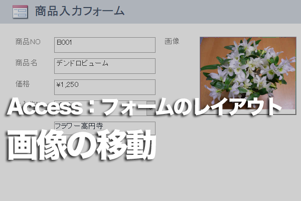 Accessのフォームで、集合形式のレイアウトから画像のコントロールだけ横に移動する方法