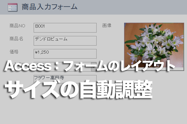 Accessのフォームでウィンドウに合わせてコントロールのサイズや位置を自動調整する方法