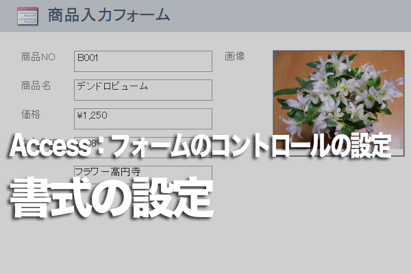 Accessのフォームの文字に書式を設定する方法