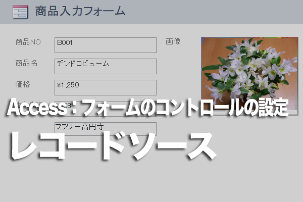 Accessのフォームの添付ファイル型フィールドのデータ数をひと目で知る方法