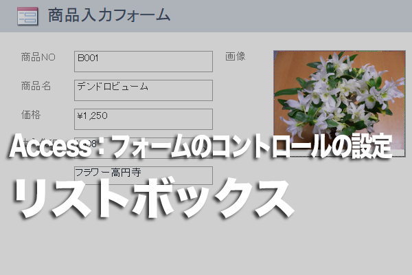 Accessのフォームで常に複数の値を持つフィールドで選択できる一覧を表示する方法