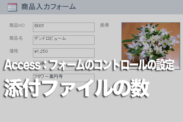 Accessのフォームの添付ファイル型フィールドのデータ数をひと目で知る方法
