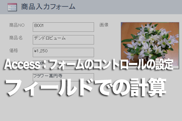 Accessのフォームでフィールドの値を使った演算結果をテキストボックスに表示する方法