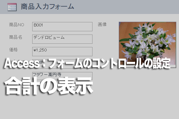 Accessのフォームでテキストボックスに金額の合計を表示する方法